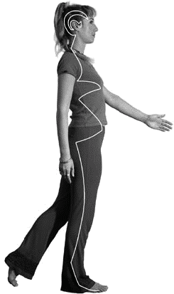 Грыжа позвоночника. Безоперационное лечение и профилактика - _113.png