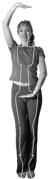 Грыжа позвоночника. Безоперационное лечение и профилактика - _122.png