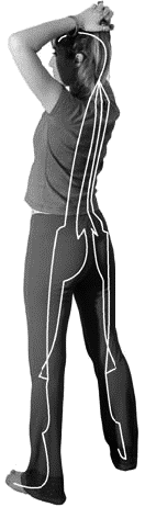 Грыжа позвоночника. Безоперационное лечение и профилактика - _128.png