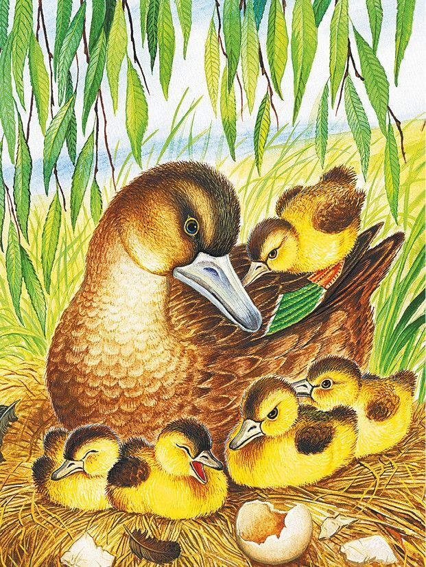 Маленькие сказки и рассказы - i_001.jpg