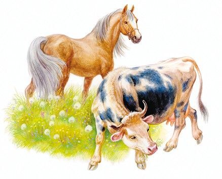 Маленькие сказки и рассказы - i_004.jpg