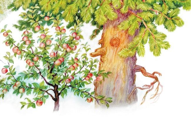 Маленькие сказки и рассказы - i_007.jpg