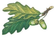 Маленькие сказки и рассказы - i_008.jpg