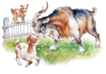 Маленькие сказки и рассказы - i_011.jpg