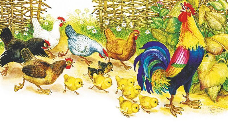 Маленькие сказки и рассказы - i_012.jpg