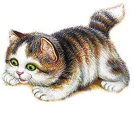 Маленькие сказки и рассказы - i_018.jpg