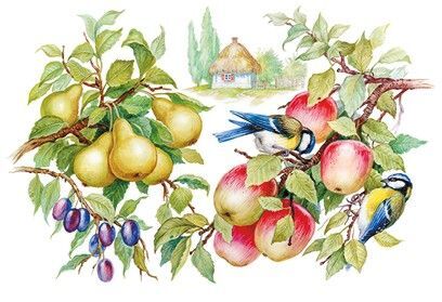 Маленькие сказки и рассказы - i_019.jpg