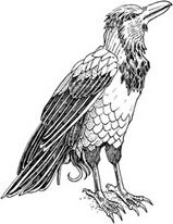 Невероятные создания. Сфинкс, дракон и девочка с птицей - i_003.jpg