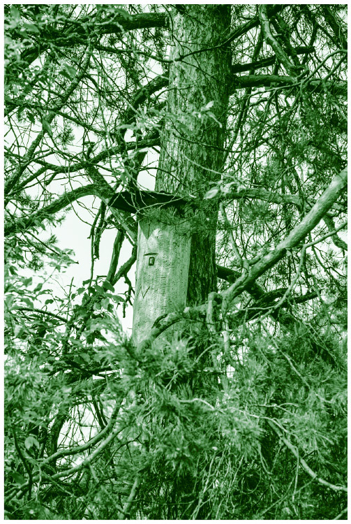 Мифы и легенды Беларуси - i_006.jpg