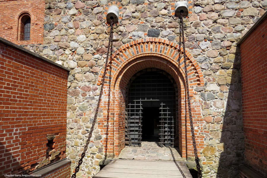 "Фантастика 2026-6". Компиляция. Книги 1-22 (СИ) - i_004.jpg