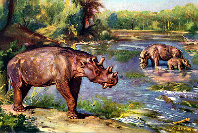 Первобытная Ева. Невеста из палеолита (СИ) - i_005.png