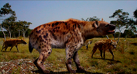 Первобытная Ева. Невеста из палеолита (СИ) - i_010.png