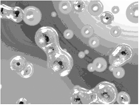 "Фантастика 2026-8". Компиляция. Книги 1-30 (СИ) - i_006.jpg