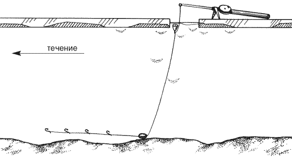 Большая книга рыболова–любителя (с цветной вкладкой) - _007.png