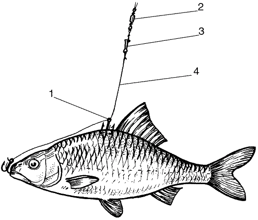Большая книга рыболова–любителя (с цветной вкладкой) - _070.png