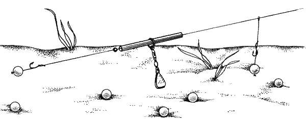 Большая книга рыболова–любителя (с цветной вкладкой) - _118.png