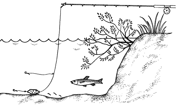 Большая книга рыболова–любителя (с цветной вкладкой) - _171.png