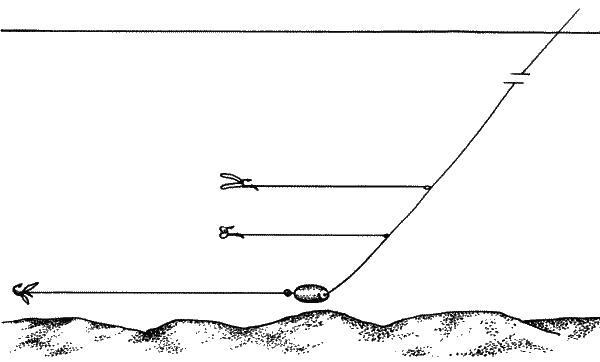 Большая книга рыболова–любителя (с цветной вкладкой) - _272.png