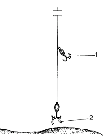 Большая книга рыболова–любителя (с цветной вкладкой) - _284.png