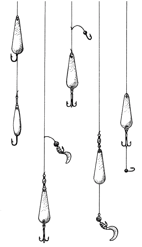 Большая книга рыболова–любителя (с цветной вкладкой) - _293.png