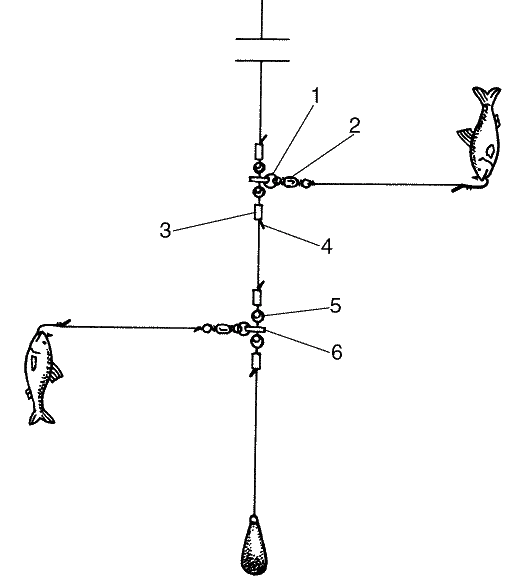 Большая книга рыболова–любителя (с цветной вкладкой) - _318.png