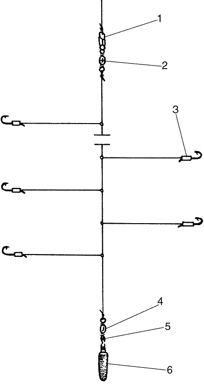 Большая книга рыболова–любителя (с цветной вкладкой) - _325.png