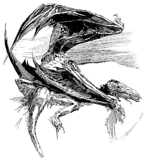 Маракотова бездна - i_008.png