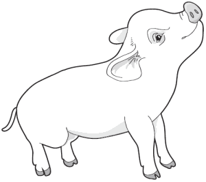 Перевоспитать Тихоню - i_001.png