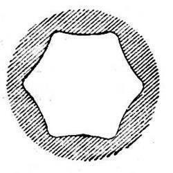 Бастард. Книга 3. Потоп - i_005.jpg