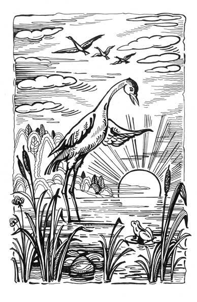 Еловые лапы - i_002.jpg