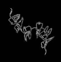 Рождественская песнь Подземного Царства (ЛП) - _1.jpg