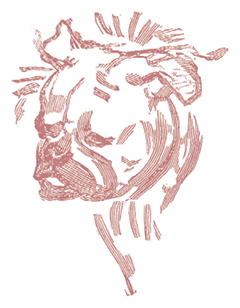 Жизнь трех клоунов. Воспоминания трио Фрателлини, записанные Пьером Мариелем - i_026.png