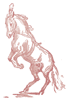 Жизнь трех клоунов. Воспоминания трио Фрателлини, записанные Пьером Мариелем - i_049.png