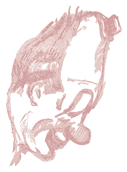 Жизнь трех клоунов. Воспоминания трио Фрателлини, записанные Пьером Мариелем - i_061.png