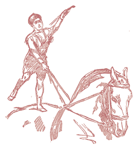 Жизнь трех клоунов. Воспоминания трио Фрателлини, записанные Пьером Мариелем - i_073.png