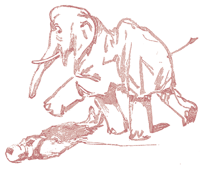 Жизнь трех клоунов. Воспоминания трио Фрателлини, записанные Пьером Мариелем - i_081.png