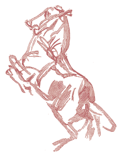 Жизнь трех клоунов. Воспоминания трио Фрателлини, записанные Пьером Мариелем - i_093.png