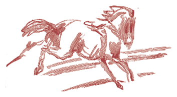 Жизнь трех клоунов. Воспоминания трио Фрателлини, записанные Пьером Мариелем - i_094.png