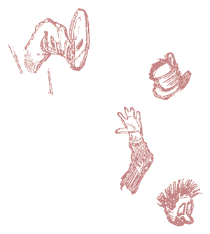 Жизнь трех клоунов. Воспоминания трио Фрателлини, записанные Пьером Мариелем - i_098.png