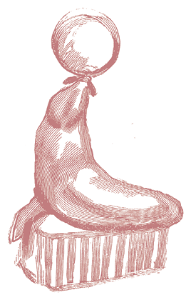 Жизнь трех клоунов. Воспоминания трио Фрателлини, записанные Пьером Мариелем - i_105.png