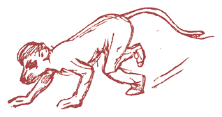 Жизнь трех клоунов. Воспоминания трио Фрателлини, записанные Пьером Мариелем - i_110.png