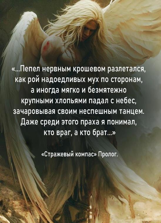 Стражевый компас (СИ) - image2.jpeg