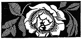 Портрет Дориана Грея. Саломея. Сказки - i_012.jpg