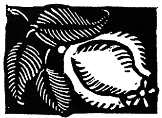 Портрет Дориана Грея. Саломея. Сказки - i_018.jpg