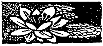 Портрет Дориана Грея. Саломея. Сказки - i_030.jpg