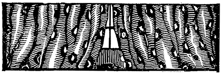 Портрет Дориана Грея. Саломея. Сказки - i_037.jpg