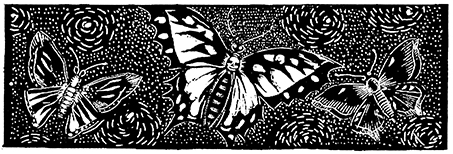 Портрет Дориана Грея. Саломея. Сказки - i_041.jpg