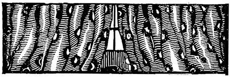 Портрет Дориана Грея. Саломея. Сказки - i_048.jpg