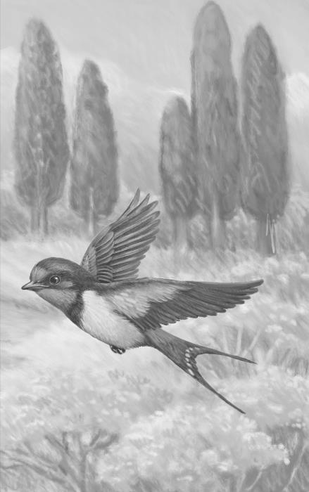 «Кентервильское привидение» и другие сказки - i_006.jpg