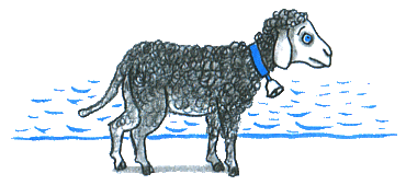 Где лежит море? - i_100.png